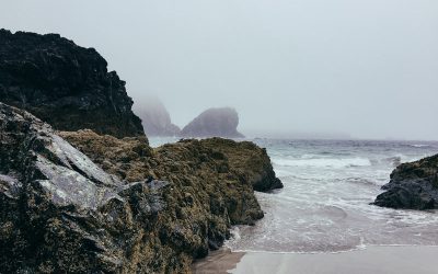 The Old Town Inn Guide to Storm Watching in Oregon