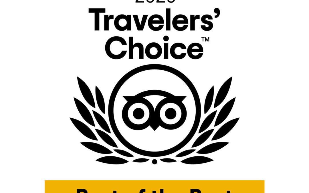 Travelers's choice logo