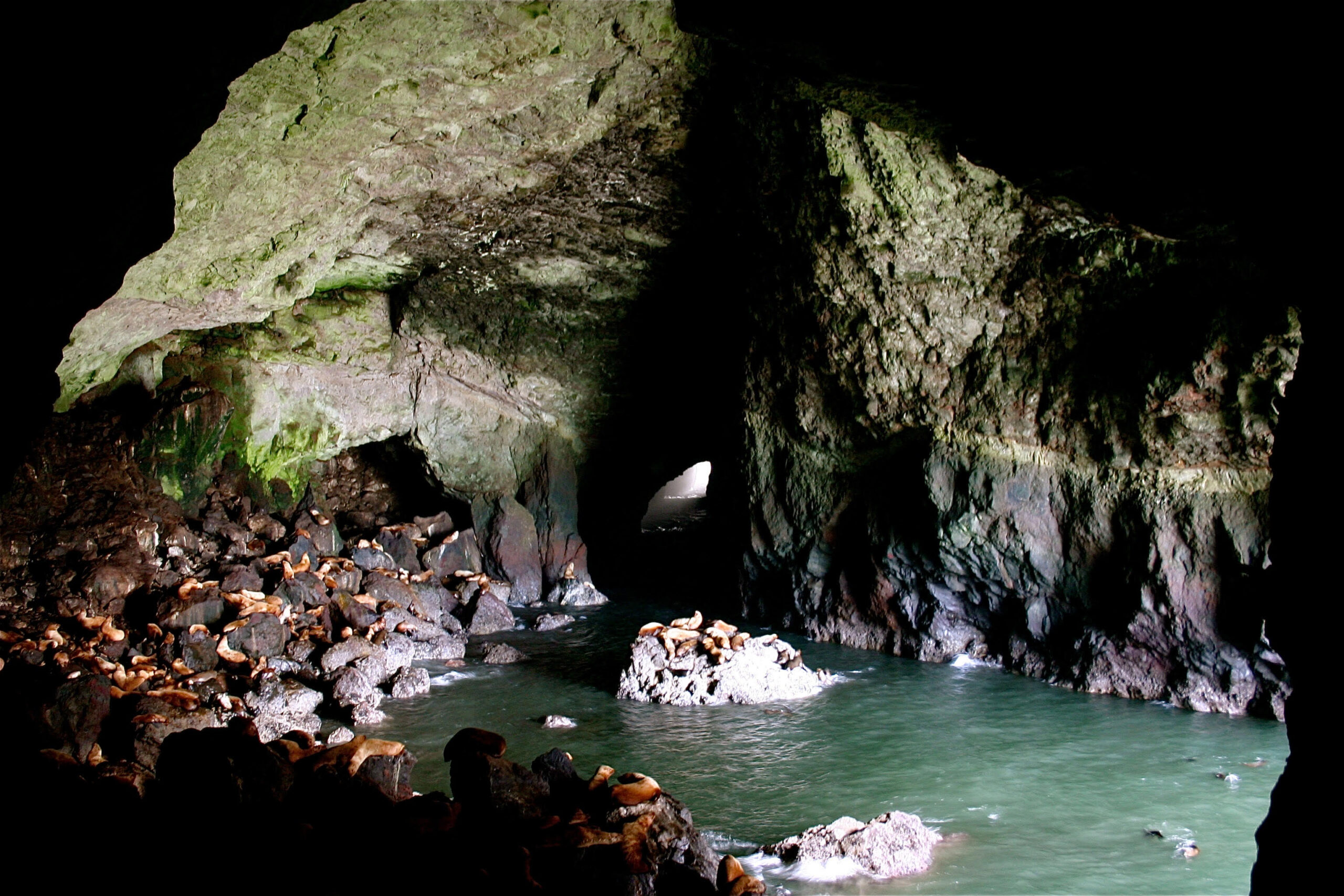inside a sea lion cave